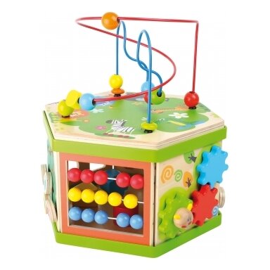 Edukacinis kubas “Safari“ 4244