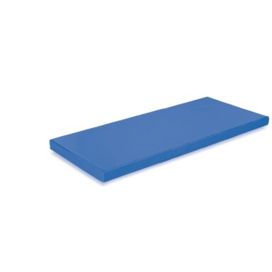 Gimnastikos čiužinys NS0170
