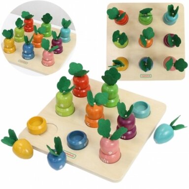 MASTERKIDZ  skaičiai ir spalvos MK21564