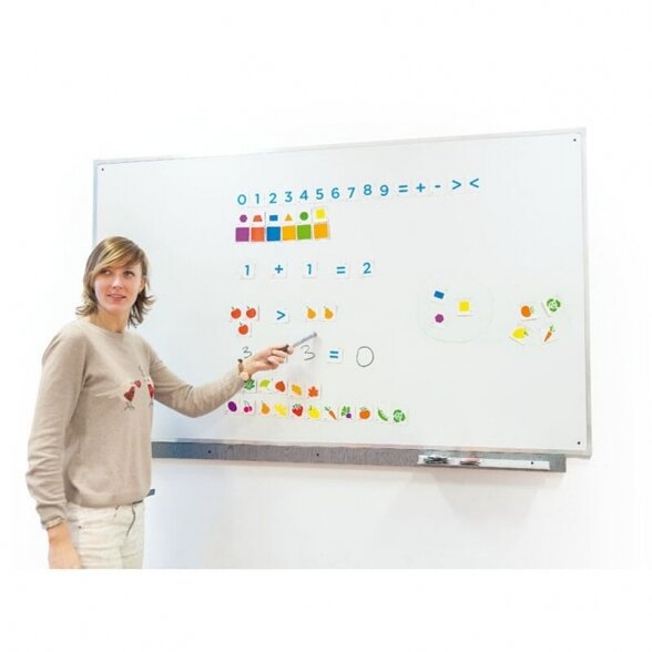 Magnetinės kortelės NS0494 1