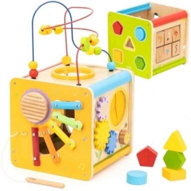 Medinis edukacinis kubas 448000
