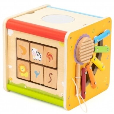 Medinis edukacinis kubas 448000
