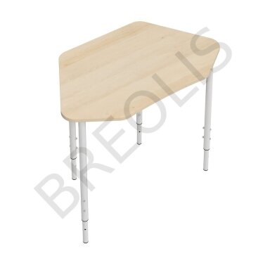 Vienvietis mokyklinis stalas 70346 4-6