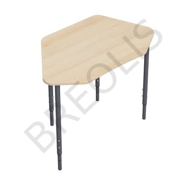 Vienvietis mokyklinis stalas 70346 4-6